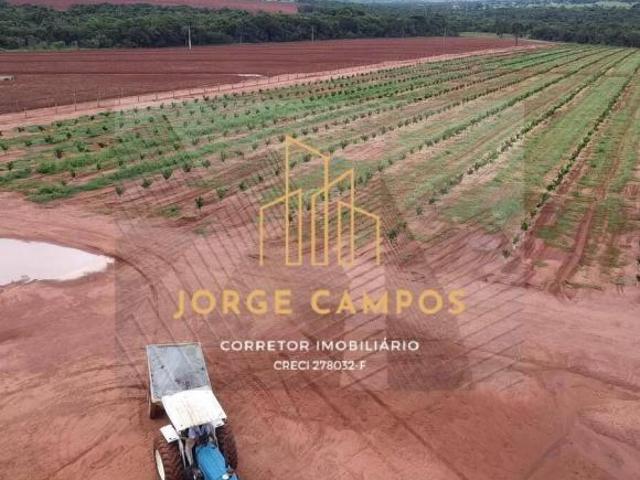 Sítio e chácara venda em Região Geográfica Imediata de Uberlândia, Campina Verde