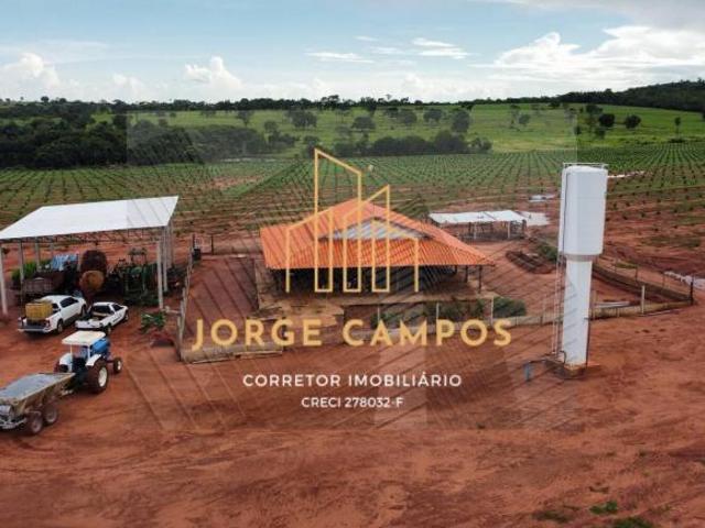 Sítio e chácara venda em Região Geográfica Imediata de Uberlândia, Campina Verde