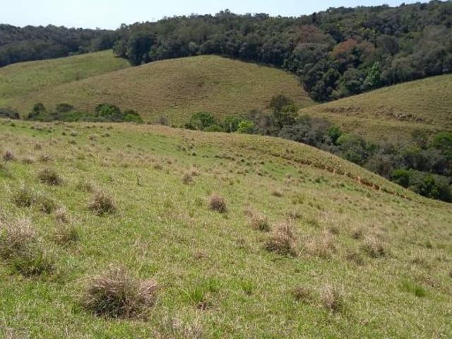 Sítio e chácara venda em Região Imediata de Itapeva, Ribeirão Branco