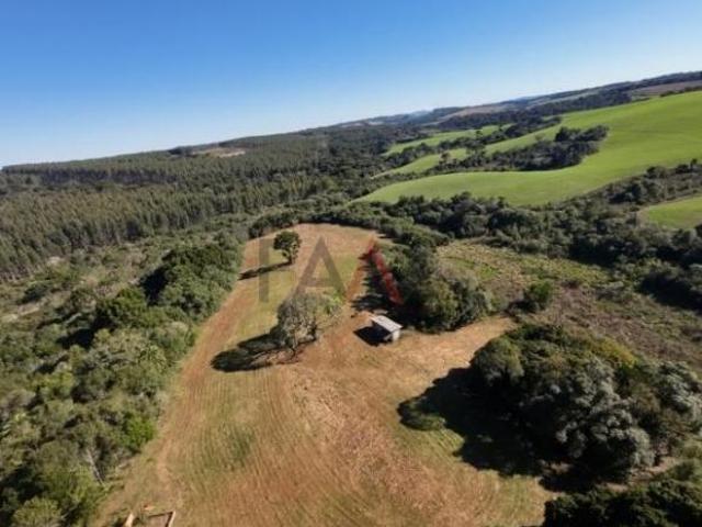 Sítio e chácara venda em Região Geográfica Imediata de Guarapuava, Guarapuava