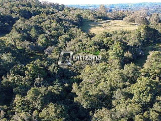 Sítio e chácara venda em Região Geográfica Imediata de Pelotas, Aglomeração Urbana do Sul