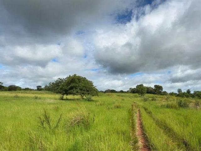 Sítio e chácara venda em Região Geográfica Imediata de Cuiabá, Região Metropolitana do Vale do Rio Cuiabá