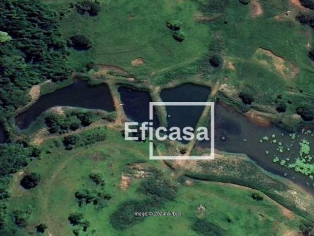 Sítio e chácara venda em Região Imediata de São José do Rio Preto, Região Metropolitana de São José do Rio Preto