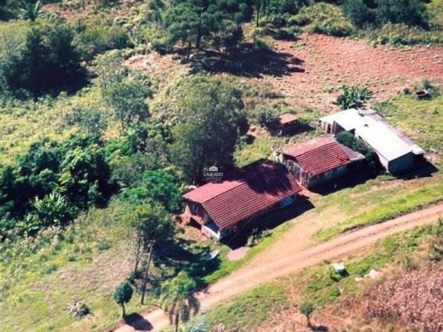 Sítio e chácara venda em Região Geográfica Imediata de Encantado, Anta Gorda