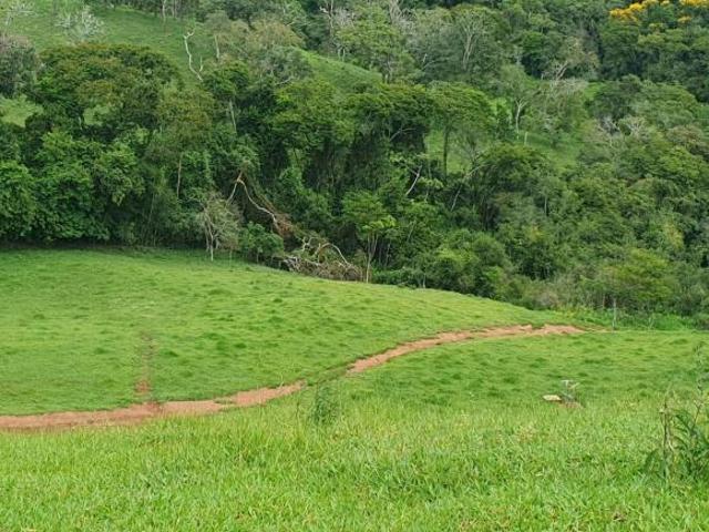 Sítio e chácara venda em Região Geográfica Imediata de São Lourenço, Virgínia