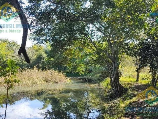Sítio e chácara venda em Região Geográfica Imediata de Jardim, Jardim