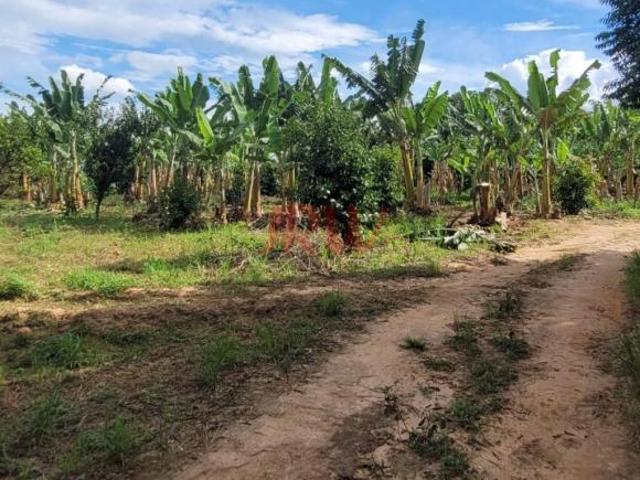 Sítio e chácara venda em Região Imediata de Campinas, Região Metropolitana de Campinas