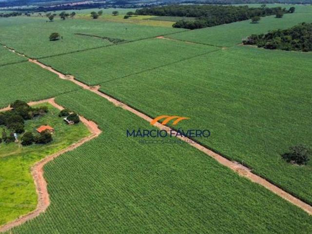 Sítio e chácara venda em Região Imediata de Fernandópolis, Ouroeste