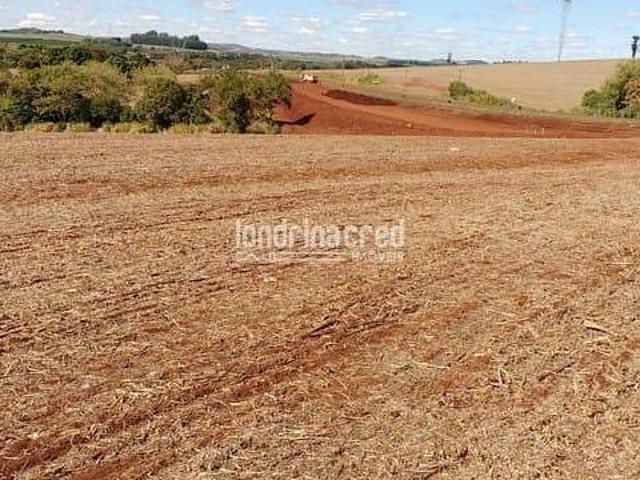 Sítio e chácara venda em Região Geográfica Imediata de Cornélio Procópio-Bandeirantes, Cornélio Procópio