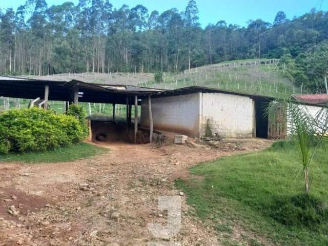 Sítio e chácara venda em Região Imediata de Amparo, Monte Alegre do Sul