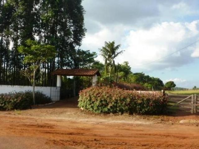 Sítio e chácara venda em Região Imediata de Piraju, Sarutaia