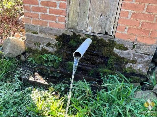 Sítio e chácara venda em Região Geográfica Imediata de Bento Gonçalves, Carlos Barbosa