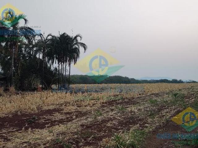Sítio e chácara venda em Região Geográfica Imediata de Campo Grande, Jaraguari