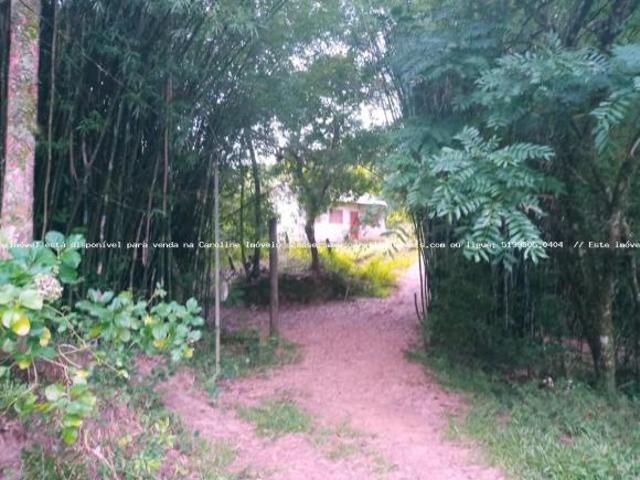 Sítio e chácara venda em Região Geográfica Imediata de Porto Alegre, Mariana Pimentel