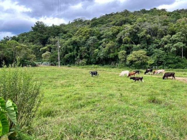Sítio e chácara venda em Região Geográfica Imediata de Telêmaco Borba, Ortigueira