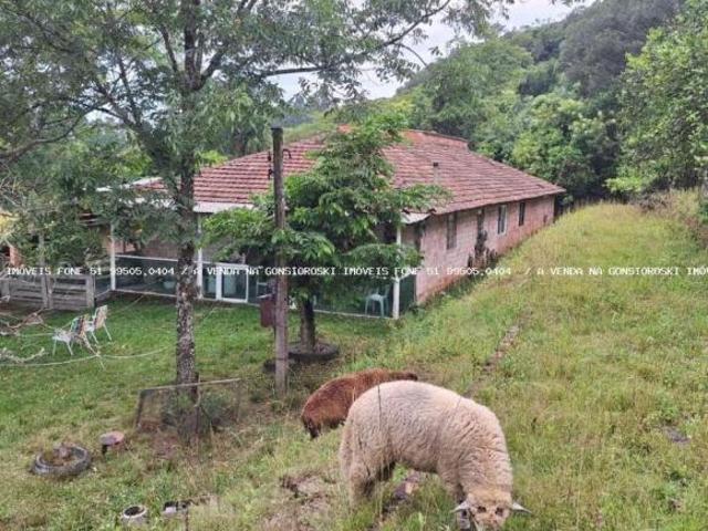 Sítio e chácara venda em Região Geográfica Imediata de Porto Alegre, Sertão Santana