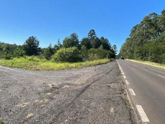 Sítio e chácara venda em Região Geográfica Imediata de Montenegro, Região Metropolitana de Porto Alegre