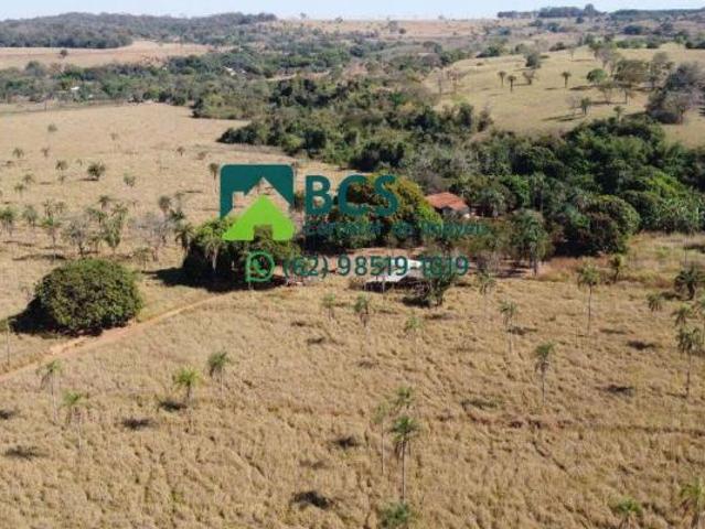 Sítio e chácara venda em Região Geográfica Imediata de Goiânia, Goianira