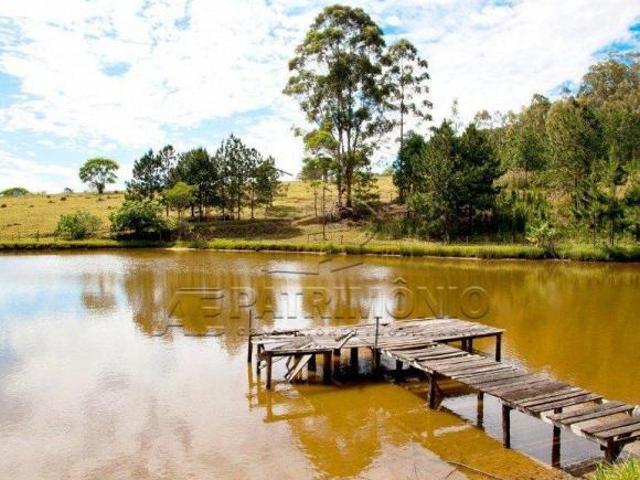 Sítio e chácara venda em Região Imediata de Sorocaba, Região Metropolitana de Sorocaba