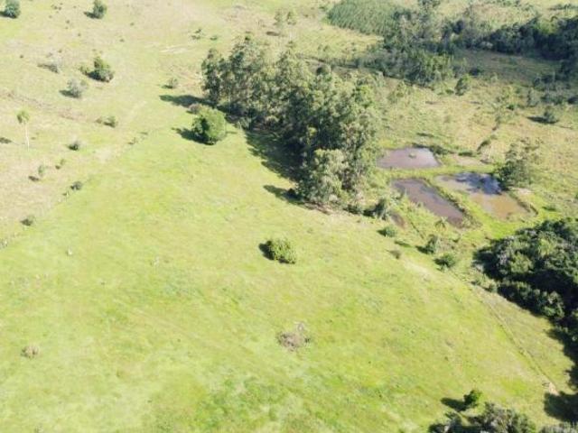 Sítio e chácara venda em Região Geográfica Imediata de Charqueadas - Triunfo - São Jerônimo, Região Metropolitana de Porto Alegre
