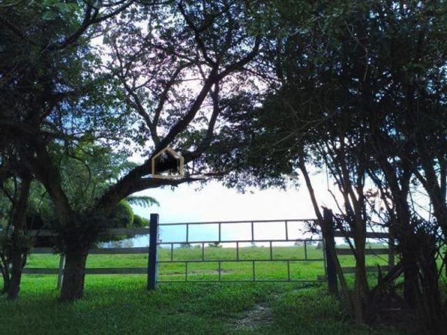 Sítio e chácara venda em Região Imediata de Piracicaba, Região Metropolitana de Piracicaba