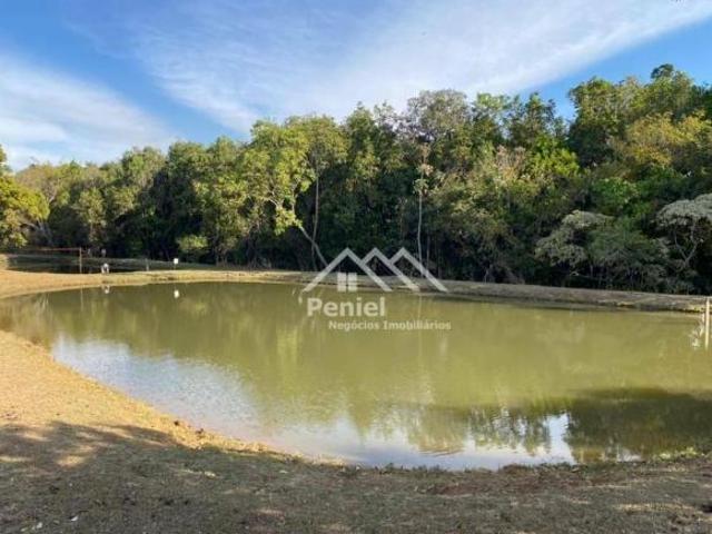 Sítio e chácara venda em Região Imediata de Ribeirão Preto, Região Metropolitana de Ribeirão Preto