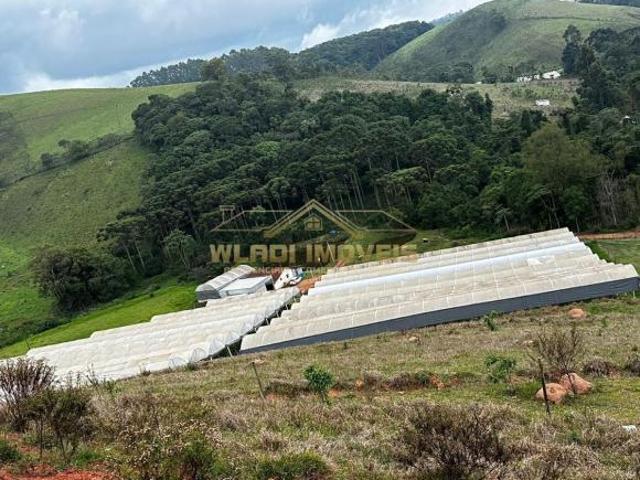 Sítio e chácara venda em Região Geográfica Imediata de Pouso Alegre, Senador Amaral