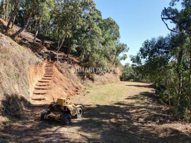 Sítio e chácara venda em Região Imediata de Taubaté-Pindamonhangaba, Região Metropolitana do Vale do Paraíba e Litoral Norte