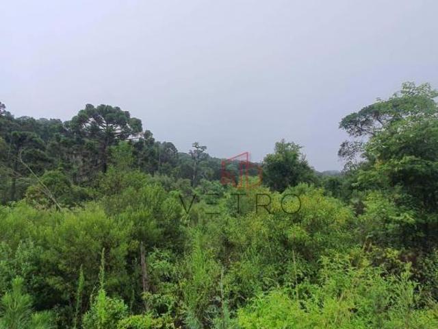 Sítio e chácara venda em Região Geográfica Imediata de Caxias do Sul, Gramado