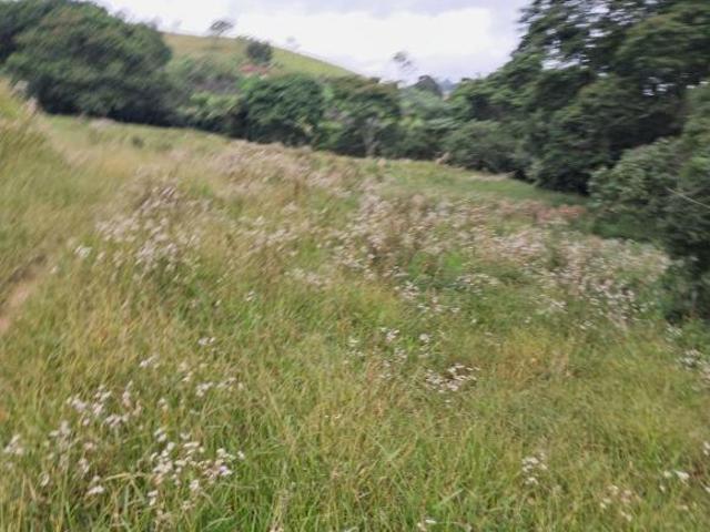 Sítio e chácara venda em Região Geográfica Imediata de Juiz de Fora, Bom Jardim de Minas