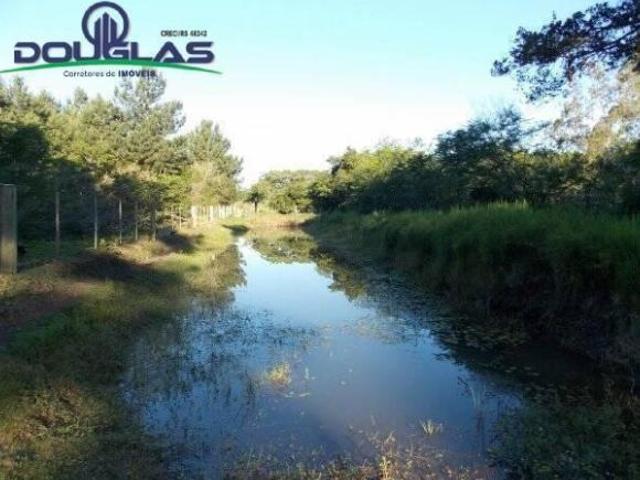 Sítio e chácara venda em Região Geográfica Imediata de Porto Alegre, Região Metropolitana de Porto Alegre
