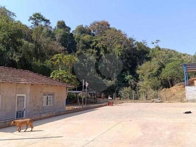 Sítio e chácara venda em Região Geográfica Imediata de Poços de Caldas, Bandeira do Sul