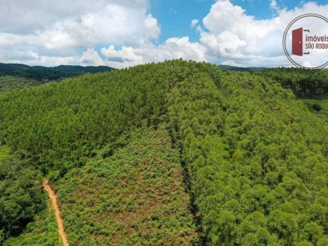 Sítio e chácara venda em Recanto Anatália, Ibiúna