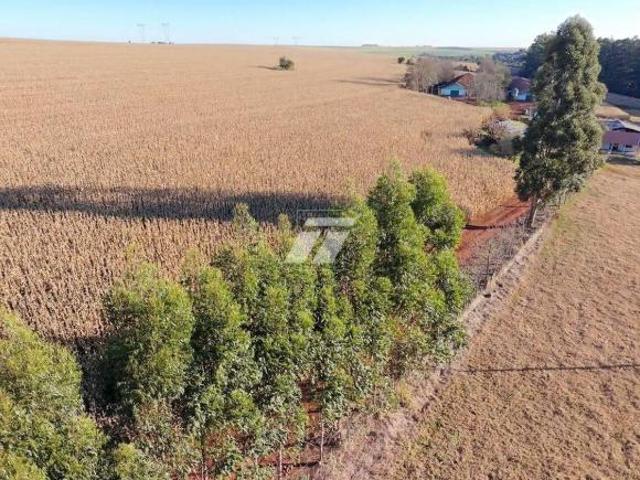 Sítio e chácara venda em Região Geográfica Imediata de Cascavel, Cascavel