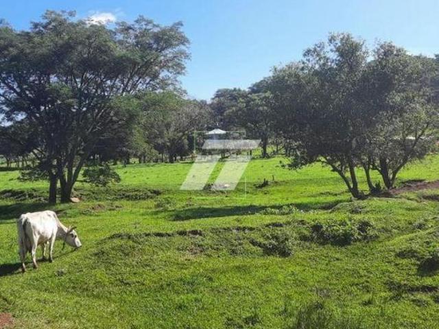 Sítio e chácara venda em Região Geográfica Imediata de Marechal Cândido Rondon, Marechal Cândido Rondon
