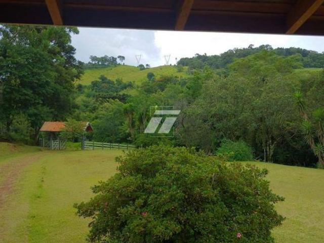 Sítio e chácara venda em Região Geográfica Imediata de Cascavel, Guaraniaçu