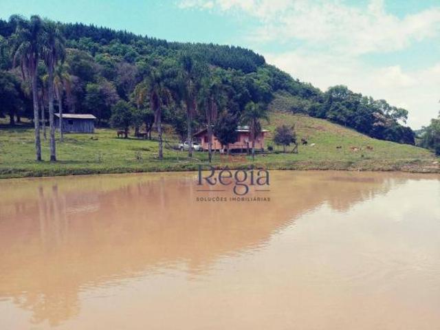 Sítio e chácara venda em Região Geográfica Imediata de Caxias do Sul, Caxias do Sul