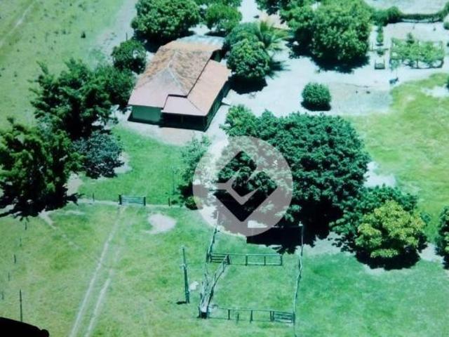 Sítio e chácara venda em Região Geográfica Imediata de Iporá, Bom Jardim de Goiás