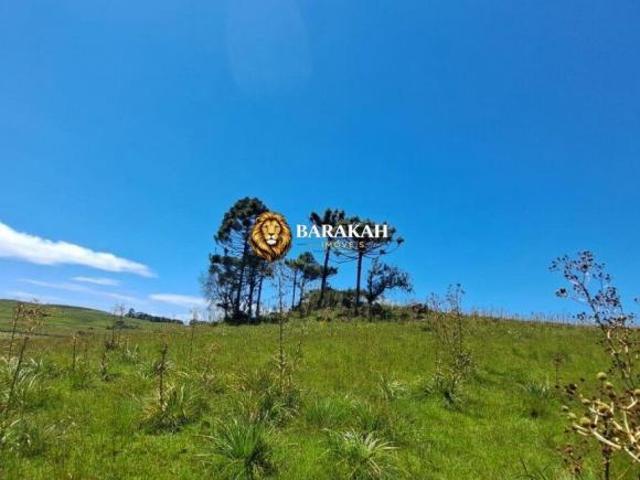Sítio e chácara venda em Região Geográfica Imediata de Caxias do Sul, Cambara do Sul