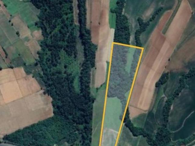 Sítio e chácara venda em Região Geográfica Imediata de Santa Cruz do Sul, Vera Cruz