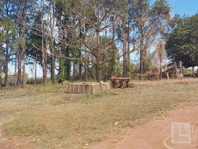 Sítio e chácara venda em Região Imediata de Ribeirão Preto, Região Metropolitana de Ribeirão Preto