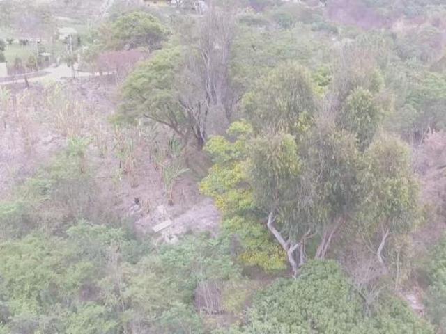 Sítio e chácara venda em Região Geográfica Imediata de Guanhães, Dores de Guanhães
