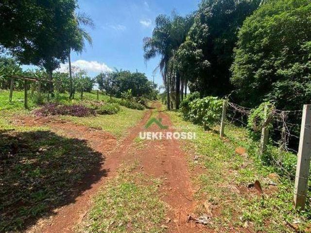 Sítio e chácara venda em Região Geográfica Imediata de Londrina, Jataizinho