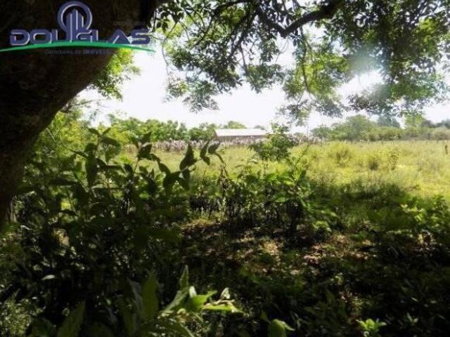Sítio e chácara venda em Região Geográfica Imediata de Porto Alegre, Região Metropolitana de Porto Alegre
