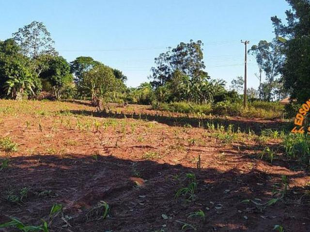 Sítio e chácara venda em Região Geográfica Imediata de Toledo, Terra Roxa