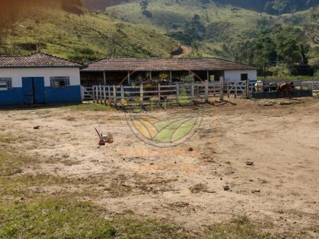 Sítio e chácara venda em Região Imediata de Ribeirão Preto, Região Metropolitana de Ribeirão Preto