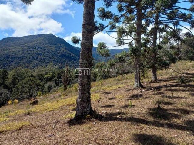 Sítio e chácara venda em Região Geográfica Imediata de São Lourenço, Itamonte
