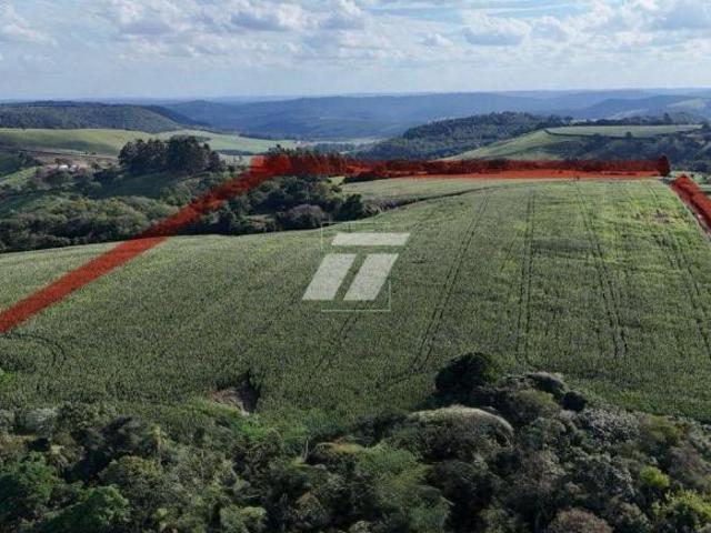 Sítio e chácara venda em Região Geográfica Imediata de Cascavel, Cascavel