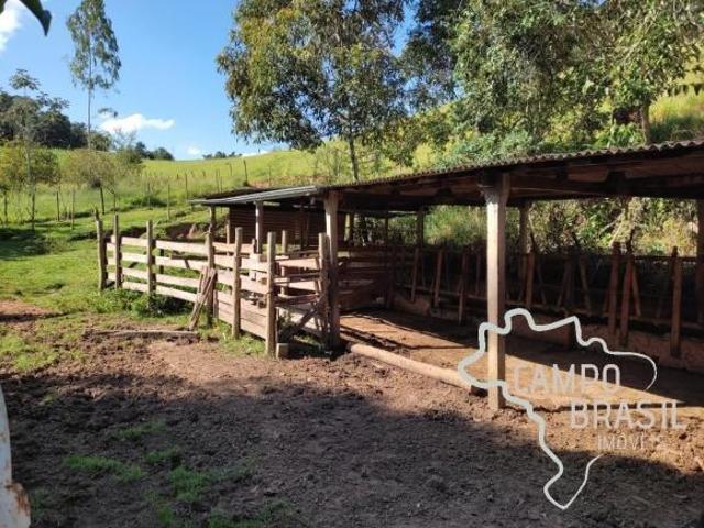Sítio e chácara venda em Jambeiro