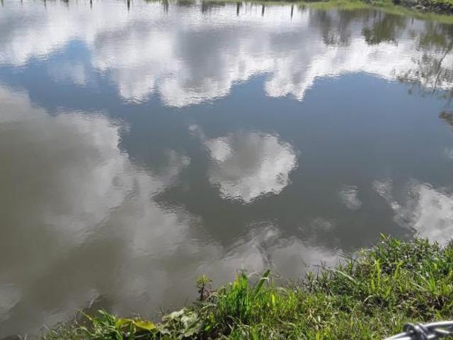 Sítio e chácara venda em Capela do Alto